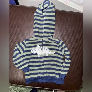 Child of Mine Green and Blue Striped Hoodie